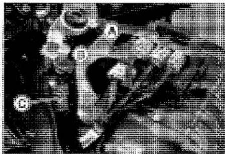 KAWASAKI Z900 (2016) - DFI Parts Location - 3