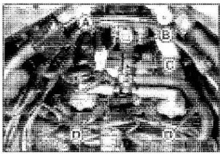 KAWASAKI Z900 (2016) - DFI Parts Location - 1