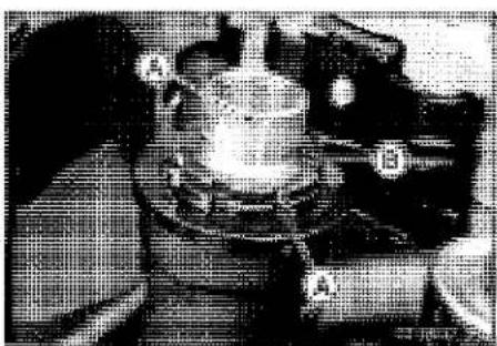 KAWASAKI Z900 (2016) - Steering Play Adjustment - 3