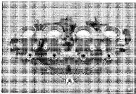 KAWASAKI Z900 (2016) - Throttle Body Assy Assembly - 2