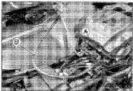 KAWASAKI Z900 (2016) - Oxygen Sensor - not activated (Service Code 33) (DTC P0130, P0132) - 2