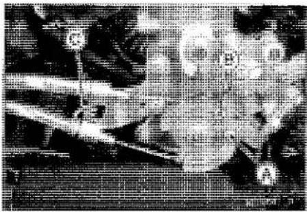 KAWASAKI Z900 (2016) - Throttle Body Assy - 1