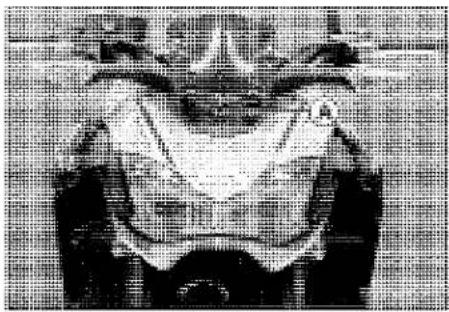 KAWASAKI Z900 (2016) - First Step - 1
