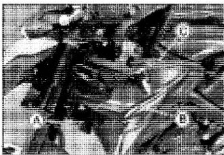 KAWASAKI Z900 (2016) - Parts Location - 4