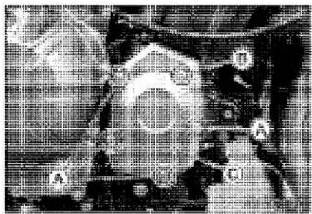 KAWASAKI Z900 (2016) - Ignition System - 2