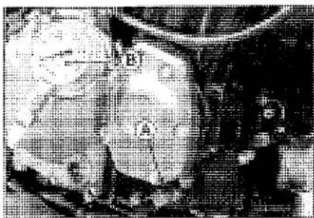 KAWASAKI Z900 (2016) - Oil Pressure Measurement - 2