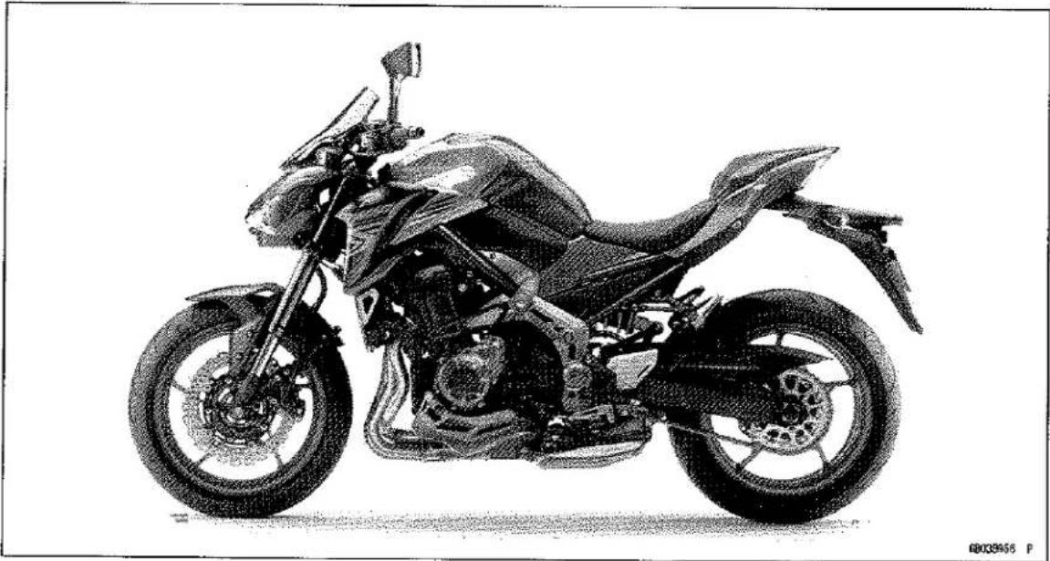 KAWASAKI Z900 (2016) - Model Identification - 1