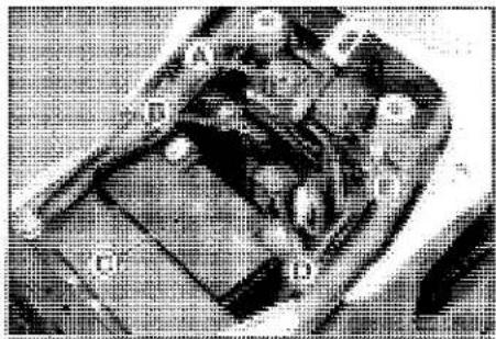 KAWASAKI Z900 (2016) - Parts Location - 1