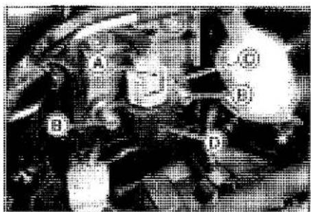 KAWASAKI Z900 (2016) - NOTICE - 1