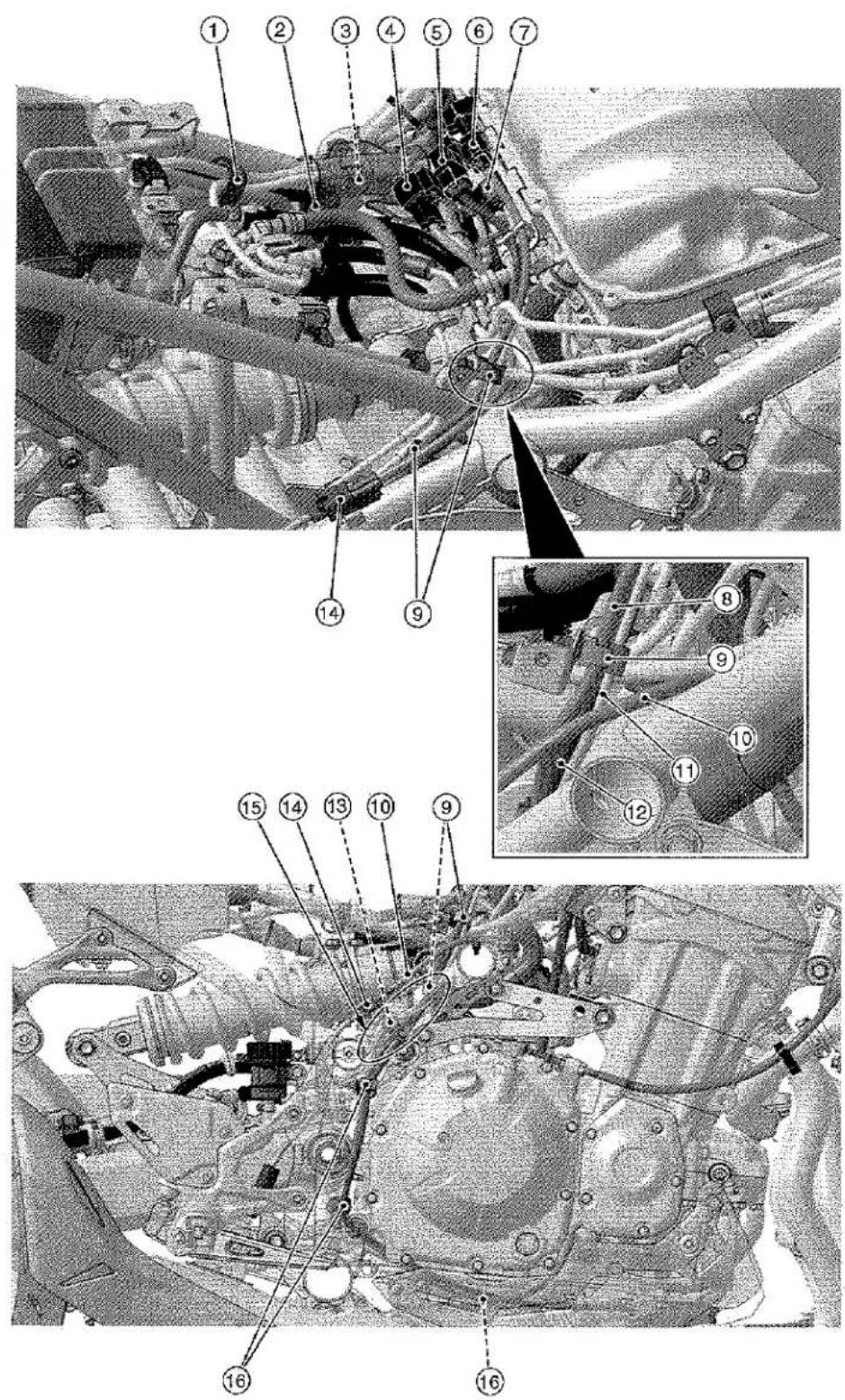 KAWASAKI Z900 (2016) - Cable, Wire, and Hose Routing - 1