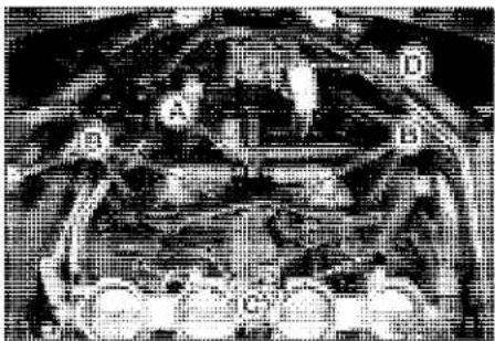 KAWASAKI Z900 (2016) - Parts Location - 3