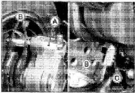 KAWASAKI Z900 (2016) - Brake Pad Wear Inspection - 2