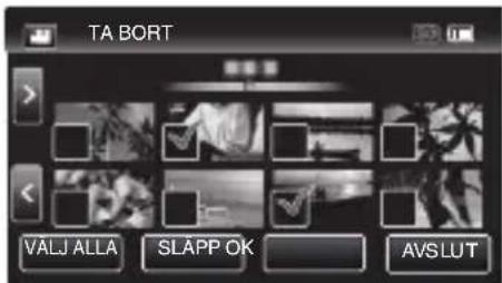 TA BORT VALJ ALLA SLAPP OK AVSLUT