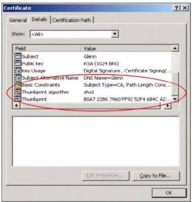 Certificate General Details Certification Path Show: Field Value Subject Glenn Public key RSA (1024 Bits) Key Usage Digital Signature, Certificate Signing(... Subject Alternative Name DNS Name=Glenn Basic Constraints Subject Type=CA, Path Length Cons... Thumbprint algorithm sha1 Thumbprint B0A7 22B6 7960 FF92 52F4 684C A2... Edit Properties... Copy to File... OK