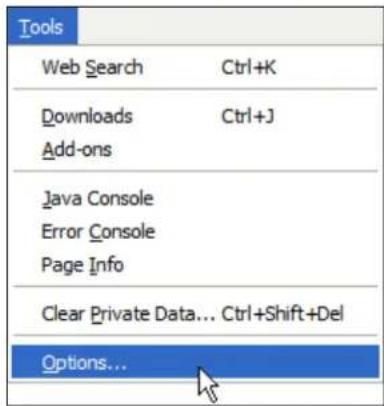 Tools Web Search Ctrl+K Downloads Ctrl+J Add-ons Java Console Error Console Page Info Clear Private Data... Ctrl+Shift+Del Options...