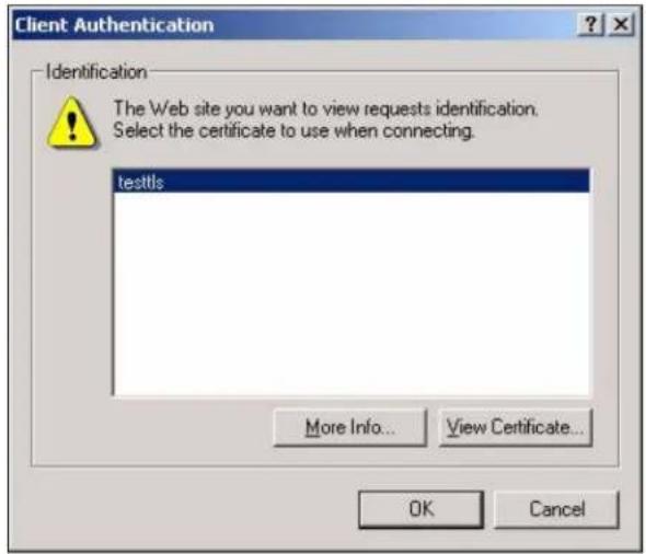 Client Authentication Identification The Web site you want to view requests identification. Select the certificate to use when connecting. testtls More Info... View Certificate... OK Cancel