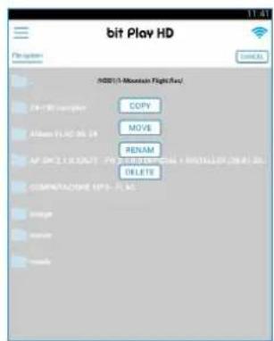 bit Play HD File system 11.41 NOTICE ADD: 0 Mountain FlightFlow COPY MOVE RENEAM PRESIDENTS DELETE COMPUTACOME COPY-FLA Image Movie Search
