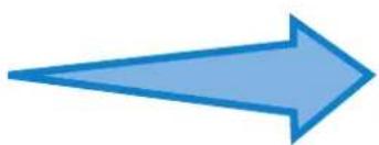 AUDISON bit Play HD - bit Play HD content: - 10