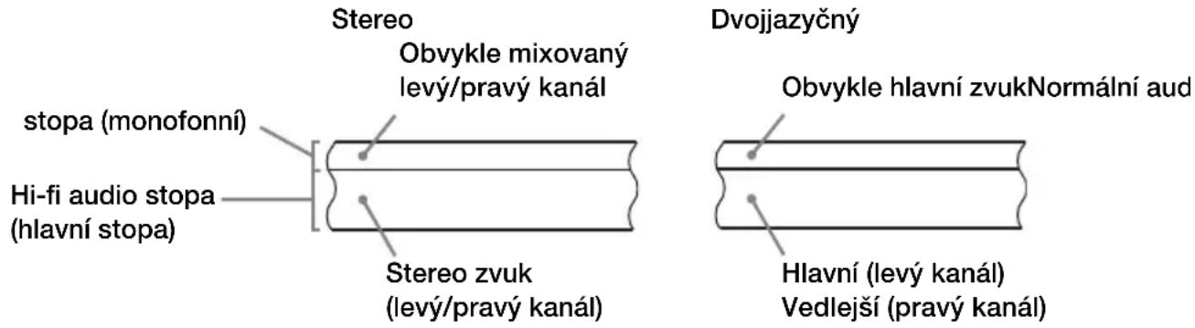 Stereo Obvykle mixovaný levý/pravý kanál stopa (monofonní) Hi-fi audio stopa (hlavní stopa) Stereo zvuk (levý/pravý kanál) Dvojjazyčný Obvykle hlavní zvukNormální aud Hlavní (levý kanál) Vedlejší (pravý kanál)