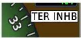 GARMIN G700 TXi - Alert Inhibit, TAWS & Terrain-FLTA - 1