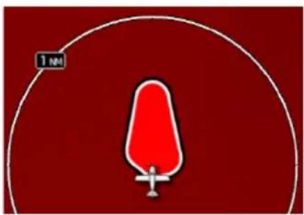1 NM