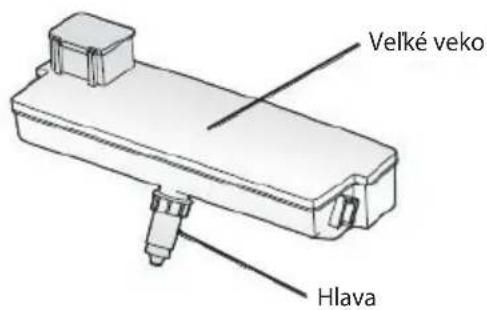 Velké veko Hlava