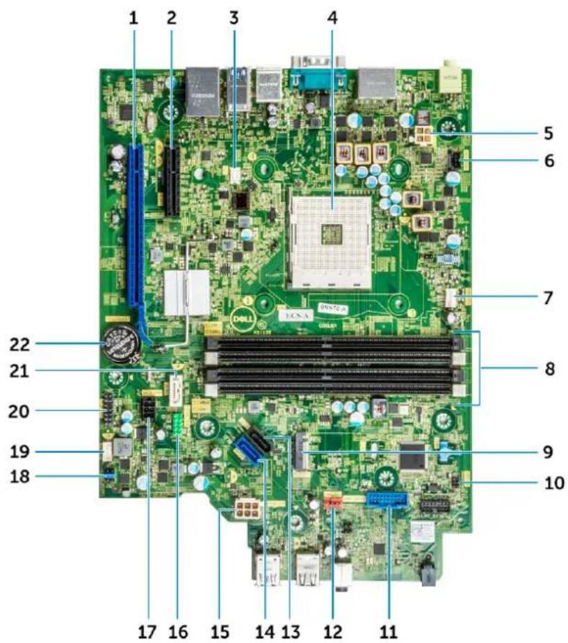 DELL OptiPlex 5055 - System board layout - 1