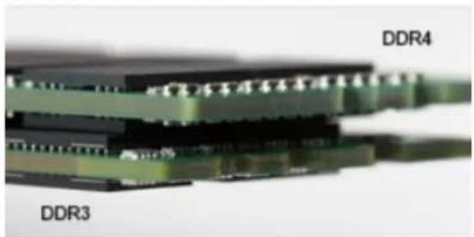 DELL OptiPlex 5055 - DDR4 Details - 2