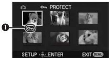 On PROTECT 1 SETUP ENTER EXIT MENU