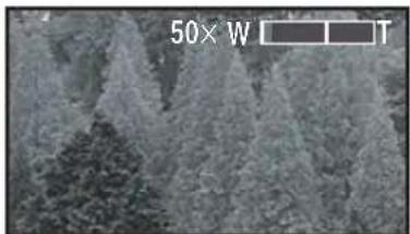 PANASONIC PV-GS80 - ■ Digital zoom function - 1