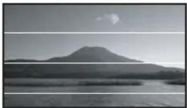 PANASONIC PV-GS80 - Guideline function - 1