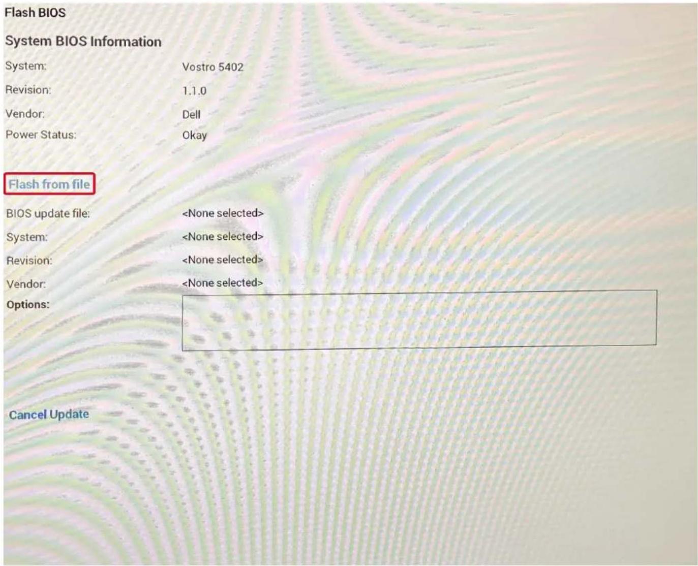 DELL Vostro 5402 - Updating from the One-Time Boot Menu - 3