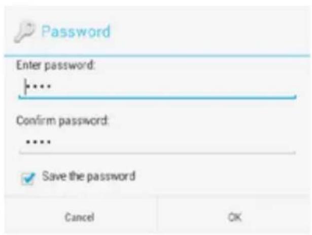 Password Enter password: •••• Confirm password: •••• ✓ Save the password Cancel OK