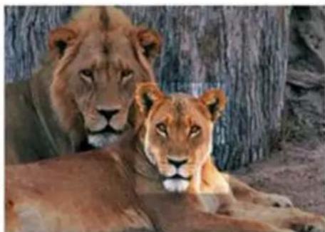 AOC 917Sw - ЛОС - 15