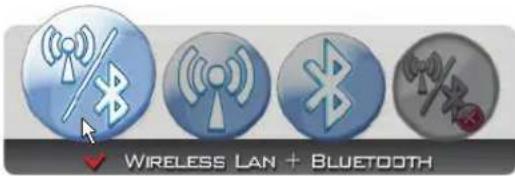 Wireless LAN + BLUETOOTH
