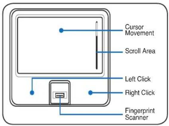 Cursor Movement Scroll Area Left Click Right Click Fingerprint Scanner