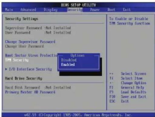 BIOS SETUP UTILITY Main Advanced Display Security Power Boot Exit Security Settings Supervisor Password :Not Installed User Password :Not Installed Change Supervisor Password Change User Password Boot Sector Vire Protection Options TPM Security Disabled Enabled I/O Interface Security Hard Drive Security Hard Disk Password :Not Installed Primary Master HD Password To Enable or Disable TPM Security Function Select Screen Select Item Change Option General Help Load Defaults Save and Exit Exit e82.53 © Copyright 1905-2005, American Repatrials, Inc.