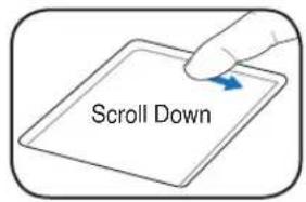 Scroll Down