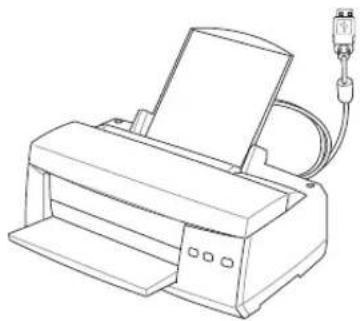 ASUS M50Vc - Printer Connection - 2