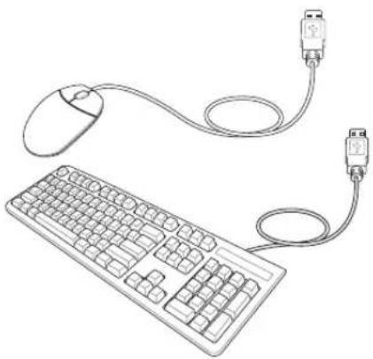ASUS M50Vc - USB Keyboard and Mouse - 2