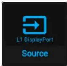 L1 DisplayPort Source