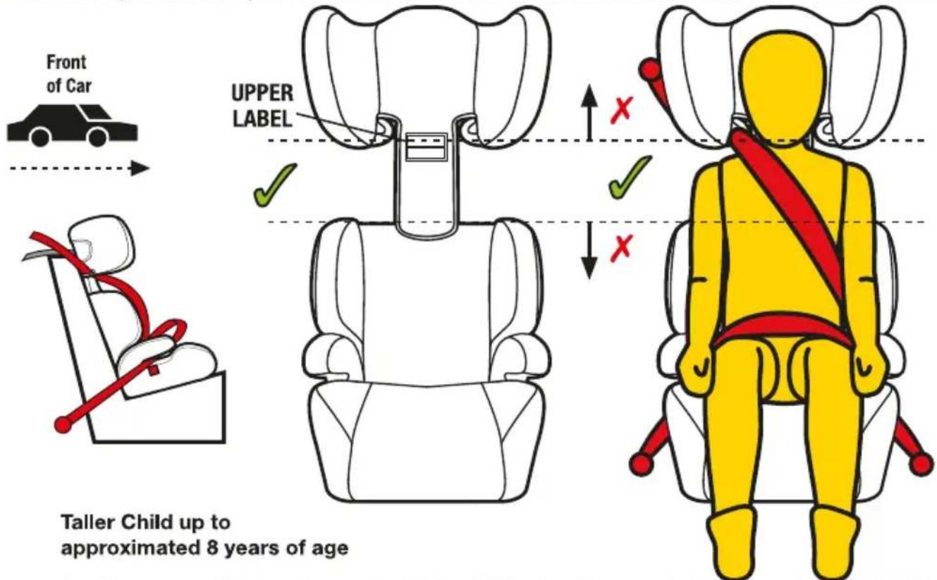 InfaSecure Vario II Astra - Taller Child - 1