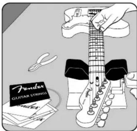 FENDER Artist Stratocaster - ELECTRIC GUITAR SET-UP - 1