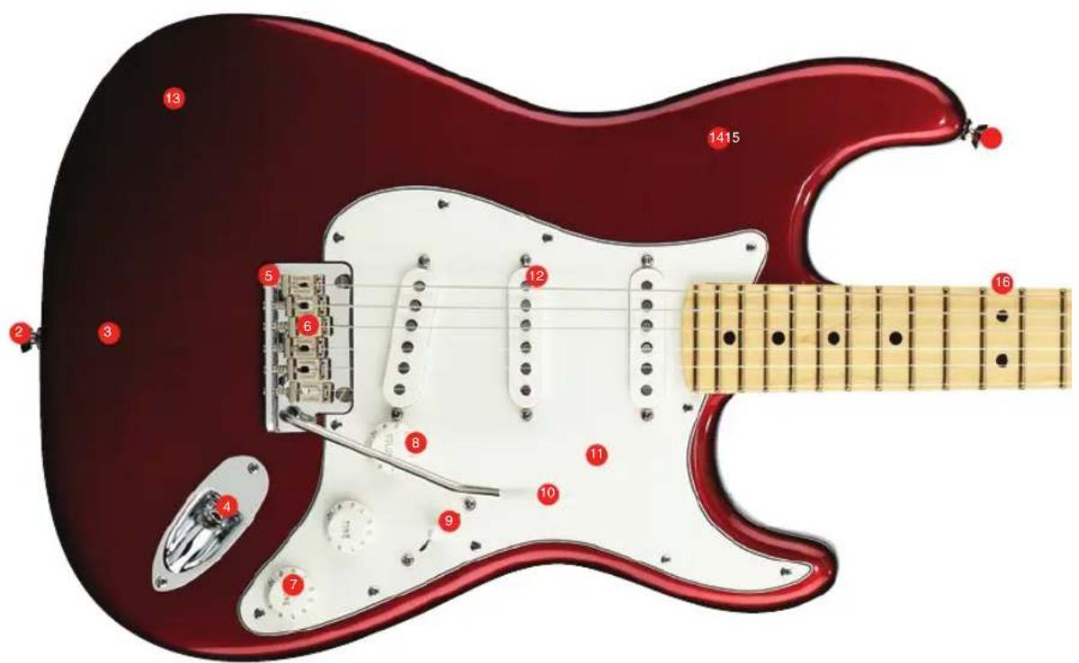 FENDER Artist Stratocaster - ANATOMY - 2