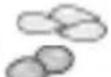 BOSCH VitaMaxx MMBF25PBCN - Intended use - 33