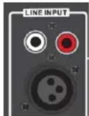 BLAUPUNKT PA20LED - Obsługa połączenia line-in/AUX/MP3 - 1