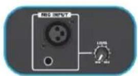 RIG INPUT LIFE