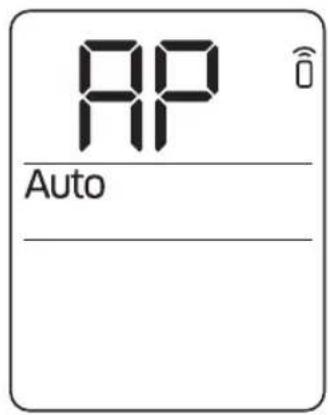 AP Auto
