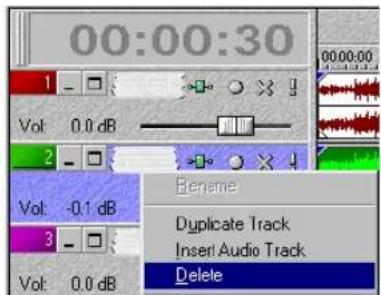 00:00:30 1 Vol: 0.0 dB 2 Vol: -0.1 dB 3 Vol: 0.0 dB Rename Duplicate Track Insert Audio Track Delete