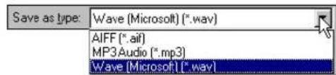 Save as type: Wave (Microsoft) (*.wav) AIFF (*.aif) MP3Audio (*.mp3) Wave (Microsoft) (*.wav)